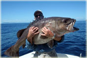 Рыбалка в Новой Зеландии